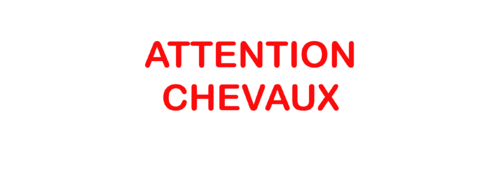 Sticker Voiture Attention Chevaux 30 x 10 cm