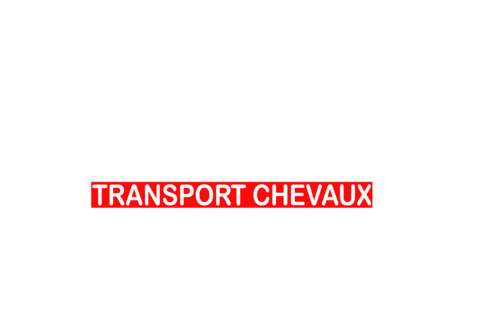 Sticker Voiture Transport Chevaux 60 x 05cm avec fond
