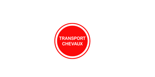 Sticker Voiture Transport Chevaux 23 x 23 cm