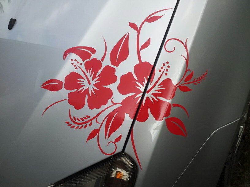 Sticker Hibiscus v02 - Taille : 38 x 30cm