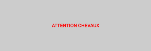 Sticker Voiture Attention Chevaux 100 x 08cm