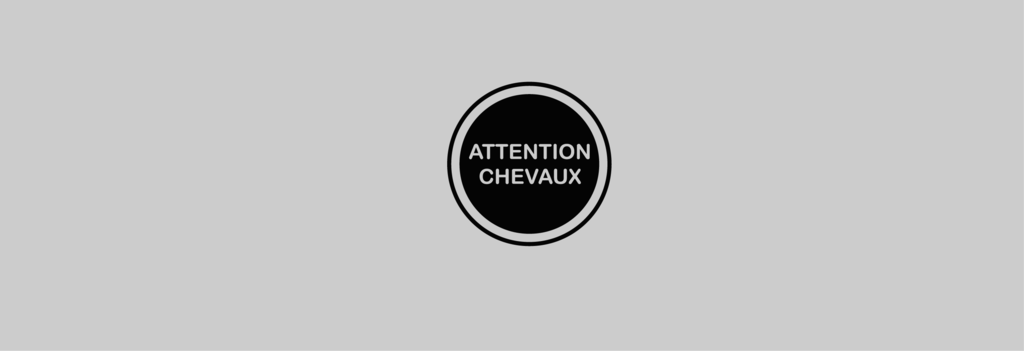 Sticker Voiture Attention Chevaux 23 x 23 cm